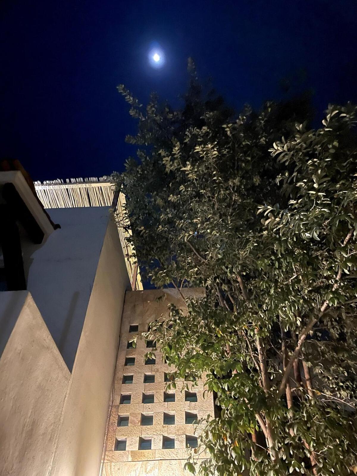 Casa Colibri Oaxaca Con Jacuzzi En Terraza Villa Santa Maria Atzompa Екстериор снимка